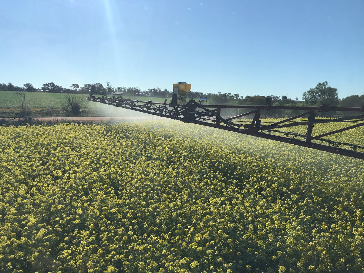 Campbell Jones tweet media