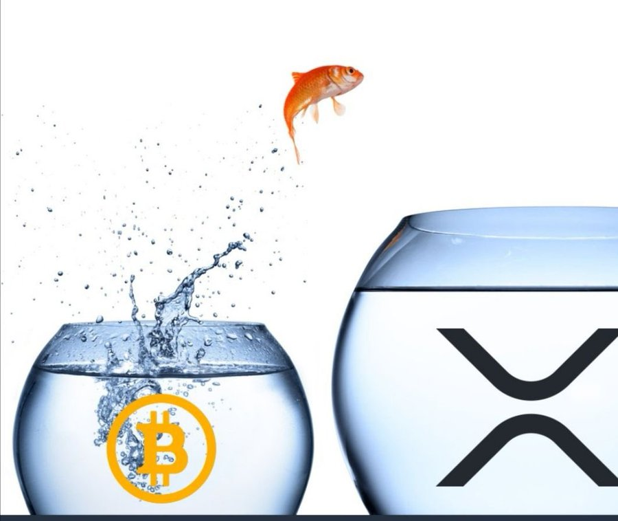 MackAttackXRP's tweet photo. @gulbronson63 @BakkupBradley @XrpMr @gulbronson62 @digitalassetbuy @RuleXRP @JLoescher @JoelKatz @bgarlinghouse @mrsbakkup1 @stephenchip @attorneyjeremy1 @sentosumosaba @Bitboy_Crypto https://t.co/n7yWubDYyg
