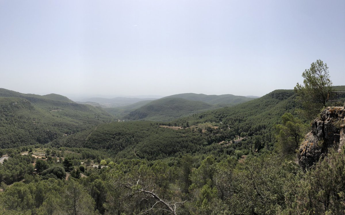 Adf Pontons tweet media