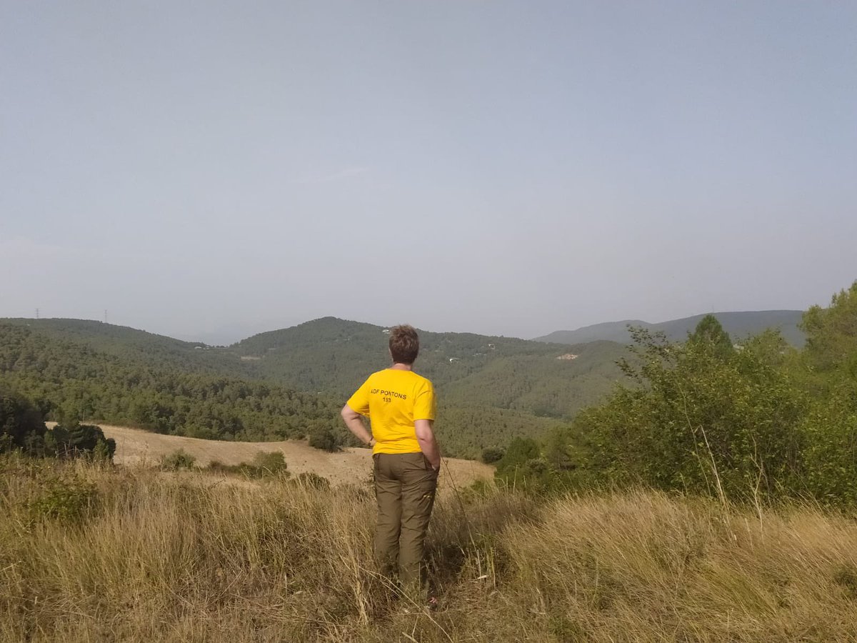 Adf Pontons tweet media