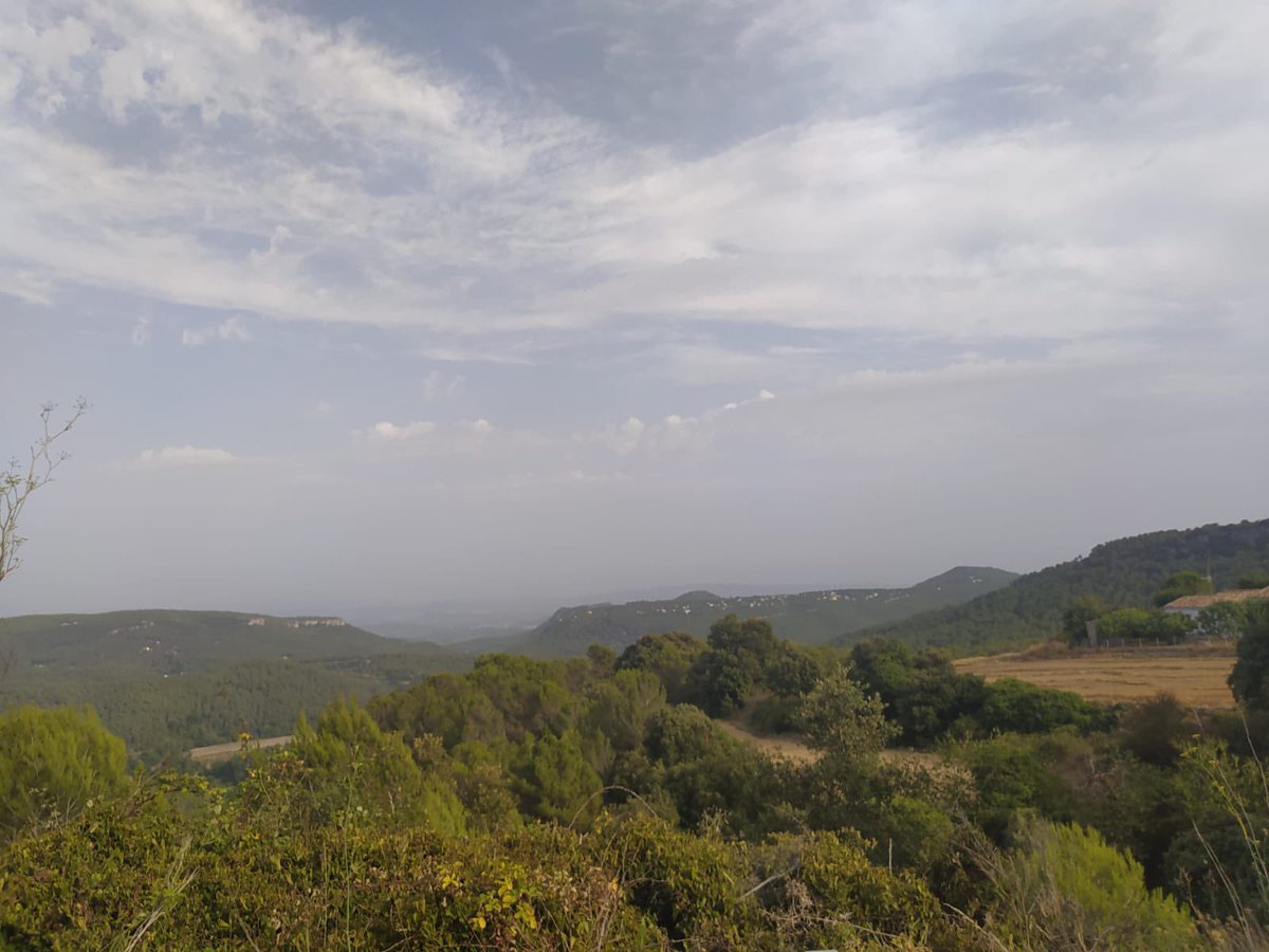 Adf Pontons tweet media