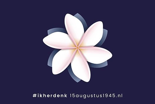 D66 Diversiteit tweet media