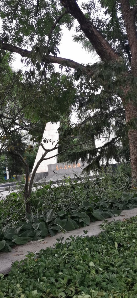 windy36003106's tweet photo. 8.14日，胜利日的前一天，我去了当年侵华日军建的劳工营旧址。
当年日本鬼子在的时候，把我能想象到的恶，和我想象不出的恶，都对当初千千万万的中国民众犯下了。如果有朝一日我忘掉了这些恶，就是对历史犯罪。 https://t.co/04lZZjoE9O