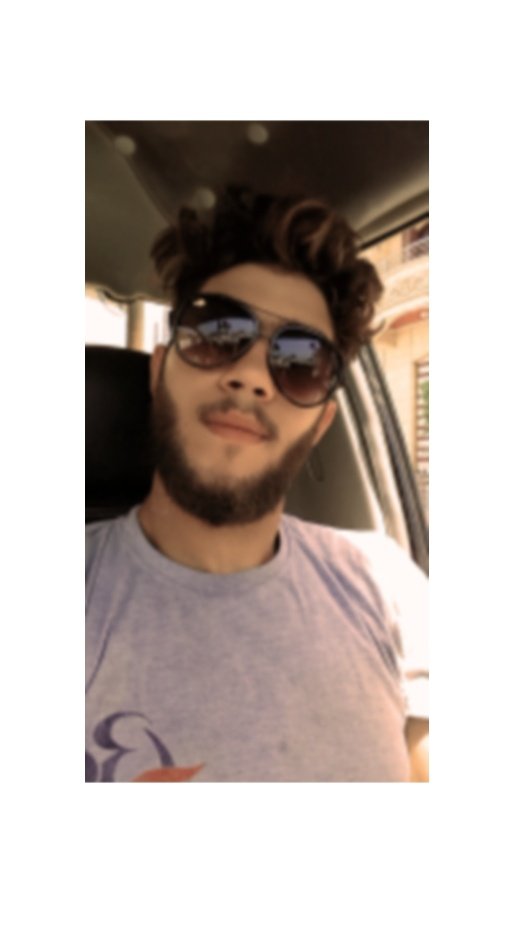 💙💙💙💙💙💙🌸