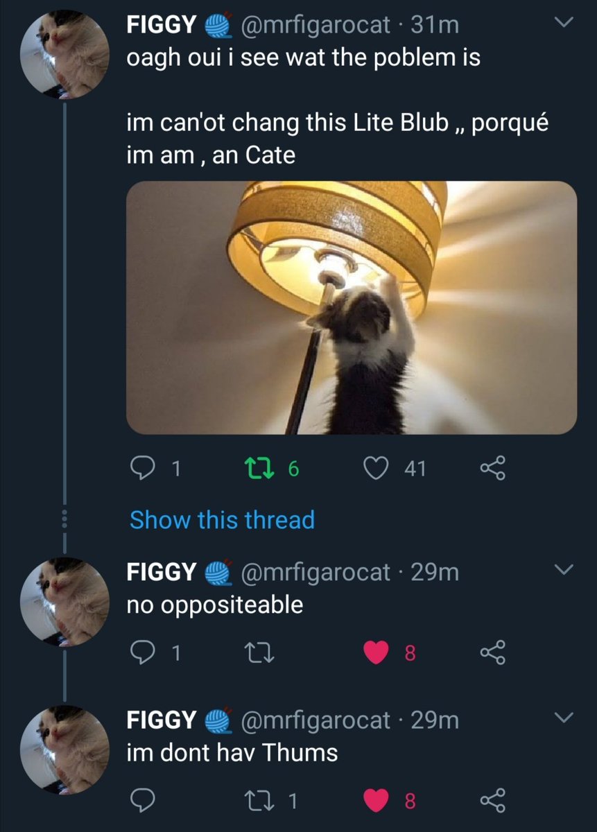cattwtstruggle's tweet photo. . @mrfigarocat https://t.co/fV1o5JKmLL