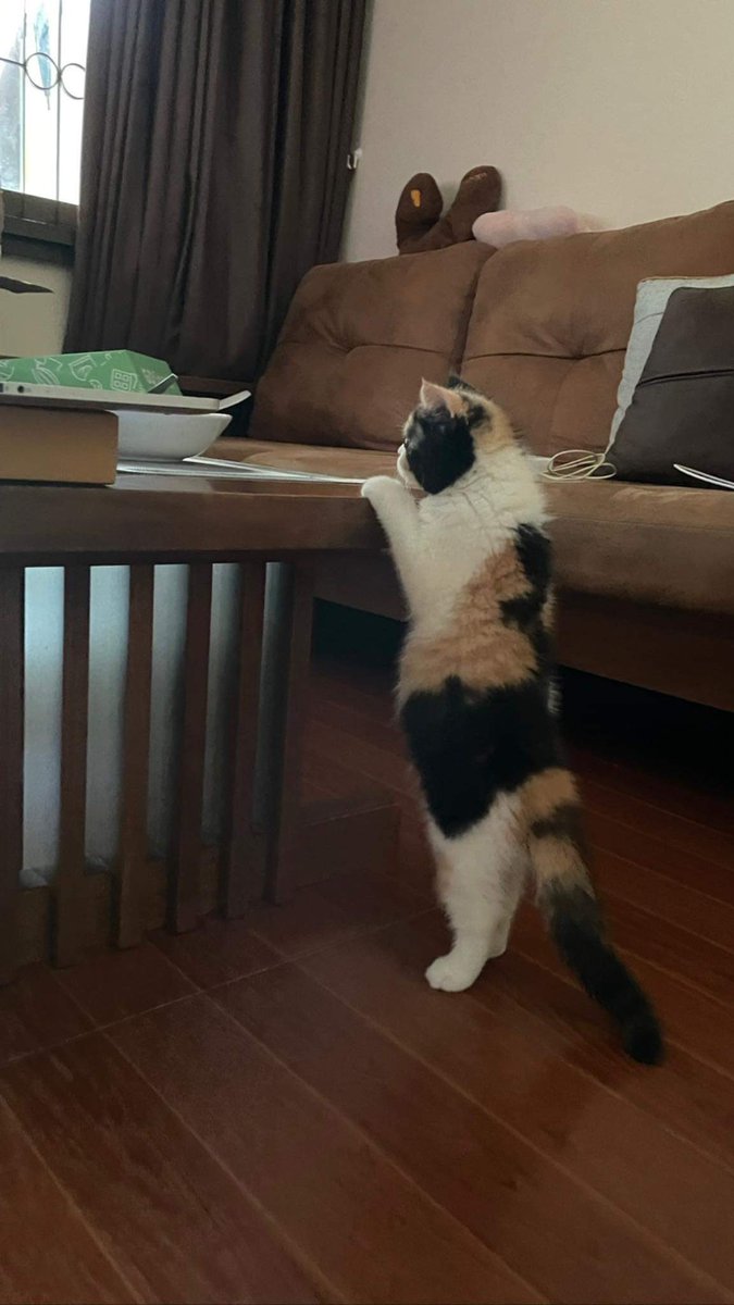 บ๊วยตอนประมาณนี้น่ารักมากๆ ยังกินพอประมาณ