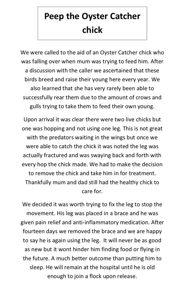 Happy Sunday everyone. Here is Peep’s Story. We hope it raises a smile for you today 😊💚
#nature #Hospital #TwitterNatureCommunity #sundayvibes