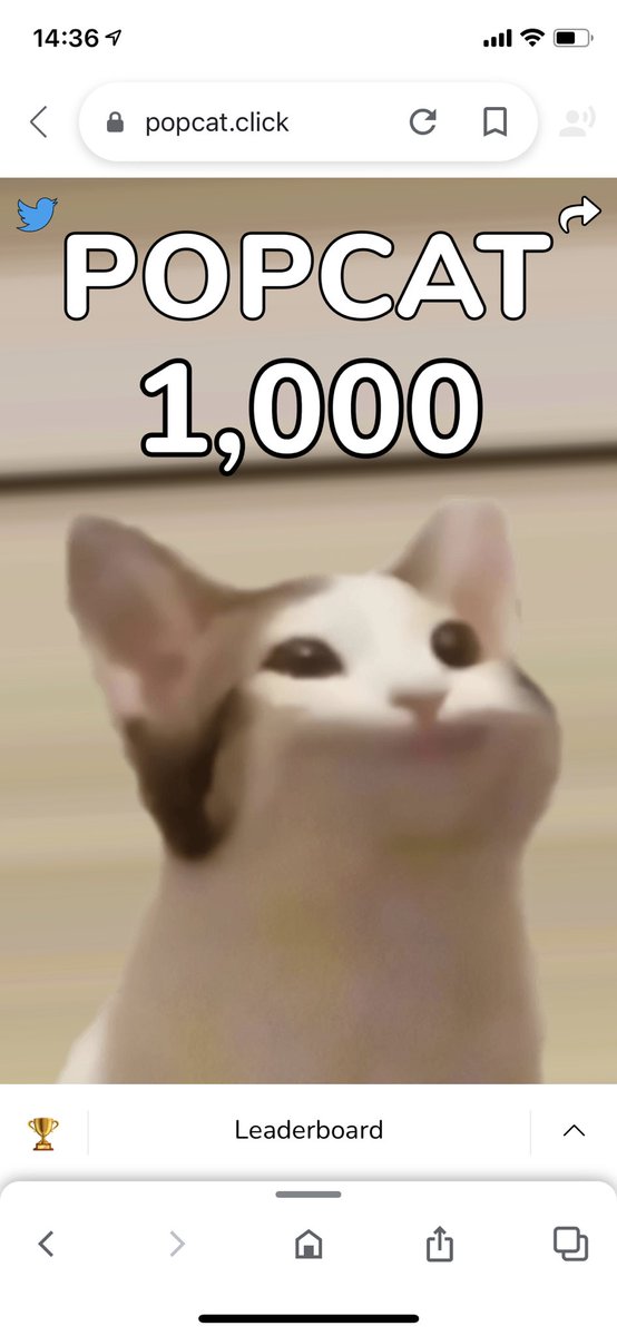 ช่วยชาติ 🤣🤣🤣 #popcat