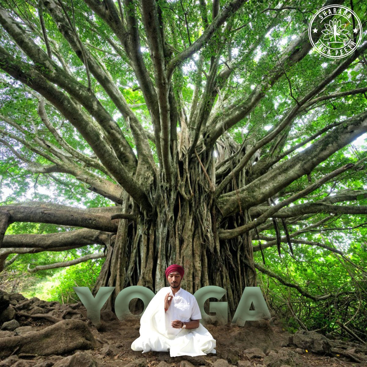 YogaPeeth's tweet photo. Yogic gestures or Mudras create very subtle ripples in your body. You can't feel them if there is already a storm going on in your body-mind.  #Yoga #Yogamudras #mudras #sharadayoga #sharadayogapeeth #yogalife #yogapose #yogapractice #yogapractice #yogateacher #yogattc https://t.co/IvSqBKEra6
