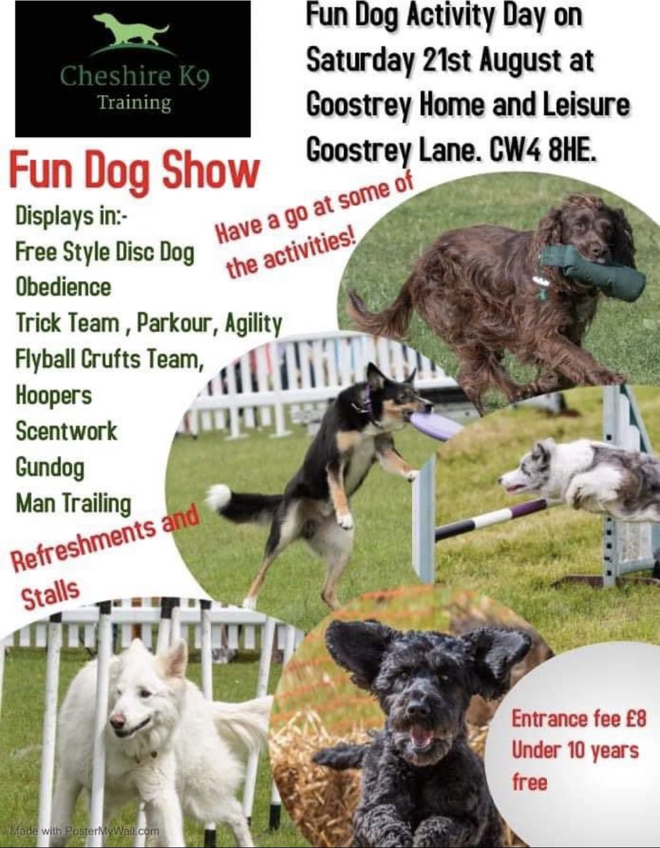 LostCapture's tweet image. Come and meet the Team at LDCT Staffordshire @LostCapture we are Fundraising to help us help dogs like Bella 🍀