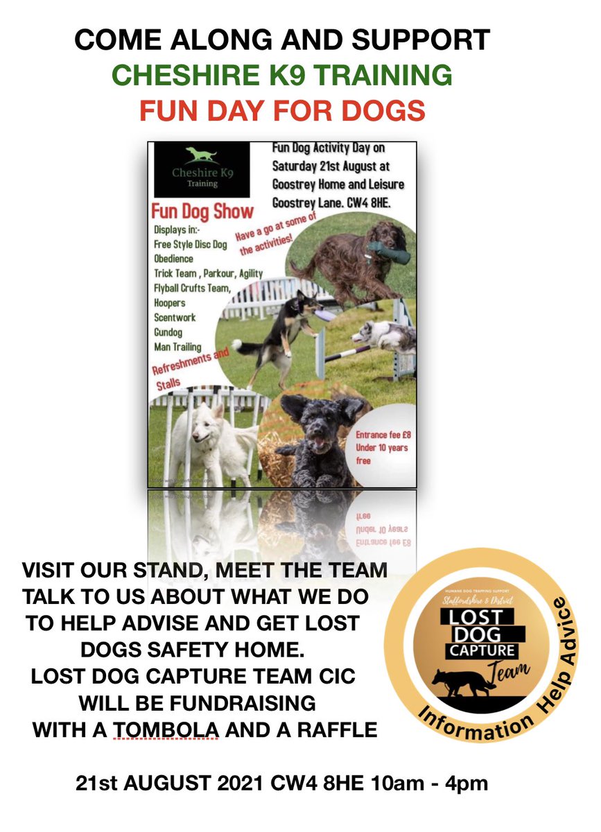 LostCapture's tweet image. Come and meet the Team at LDCT Staffordshire @LostCapture we are Fundraising to help us help dogs like Bella 🍀