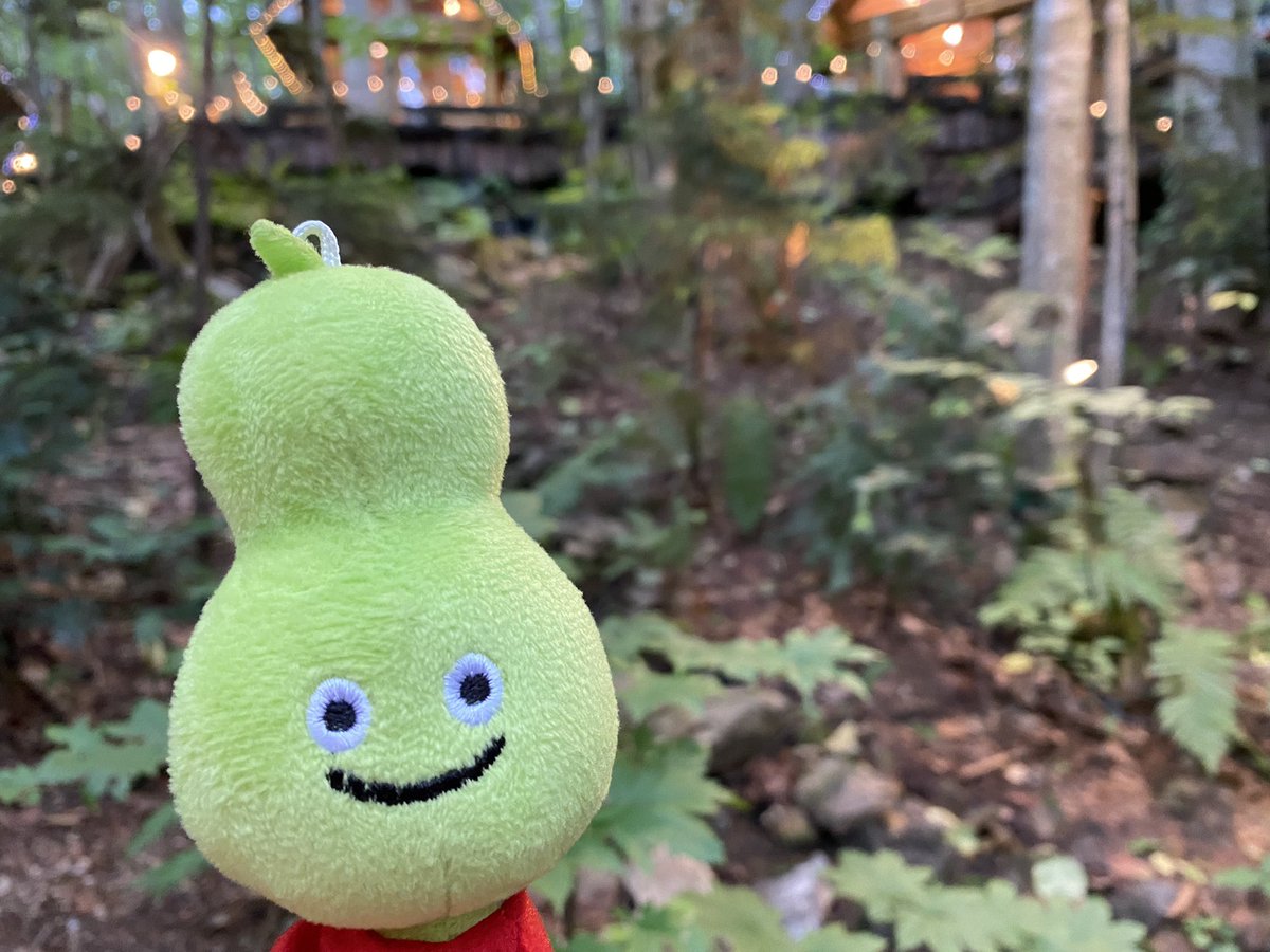 ガスパール على تويتر ひょうたん In ニングルテラス 森の小人がどこかにいるよ W ひょうたん