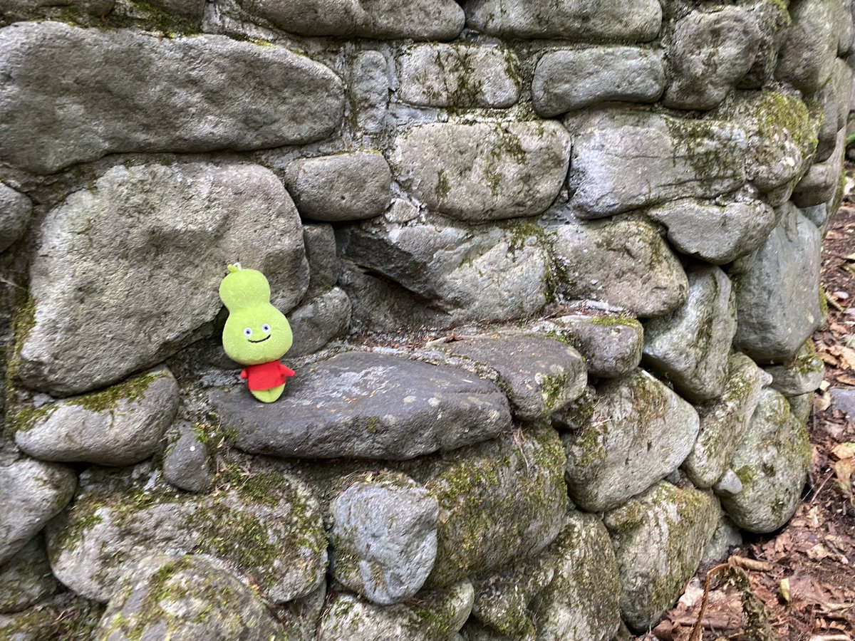 ガスパール على تويتر ひょうたん In ニングルテラス 森の小人がどこかにいるよ W ひょうたん