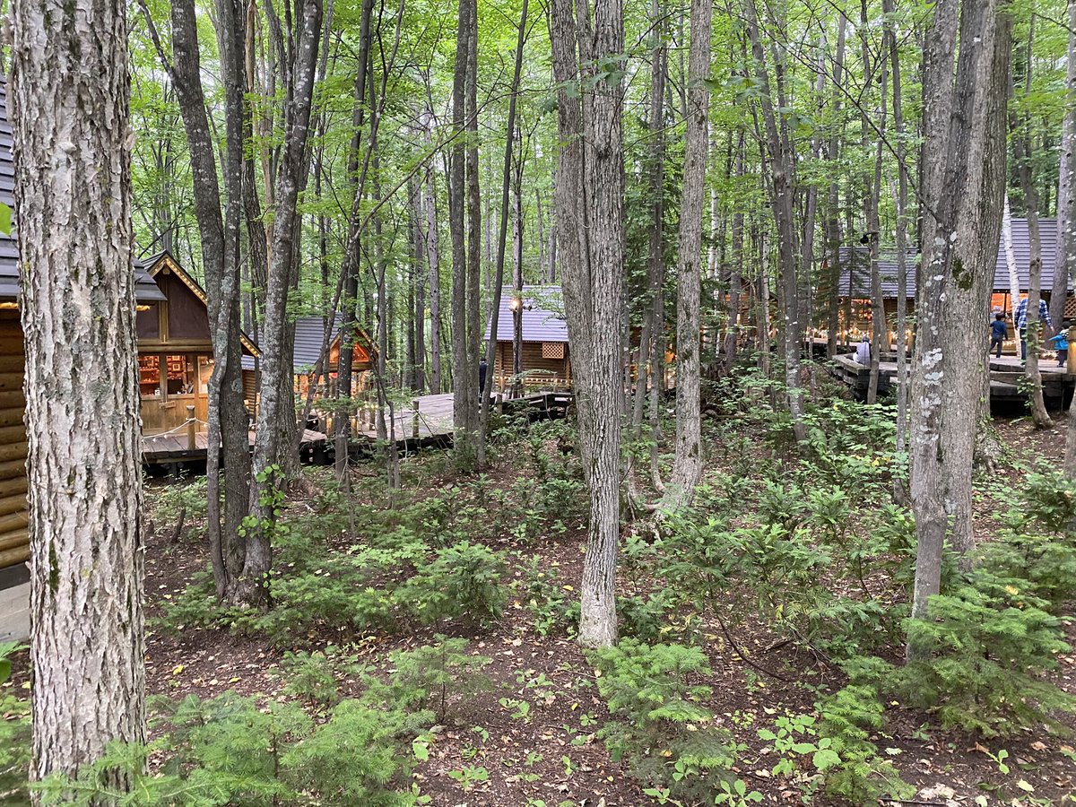 ガスパール على تويتر ひょうたん In ニングルテラス 森の小人がどこかにいるよ W ひょうたん