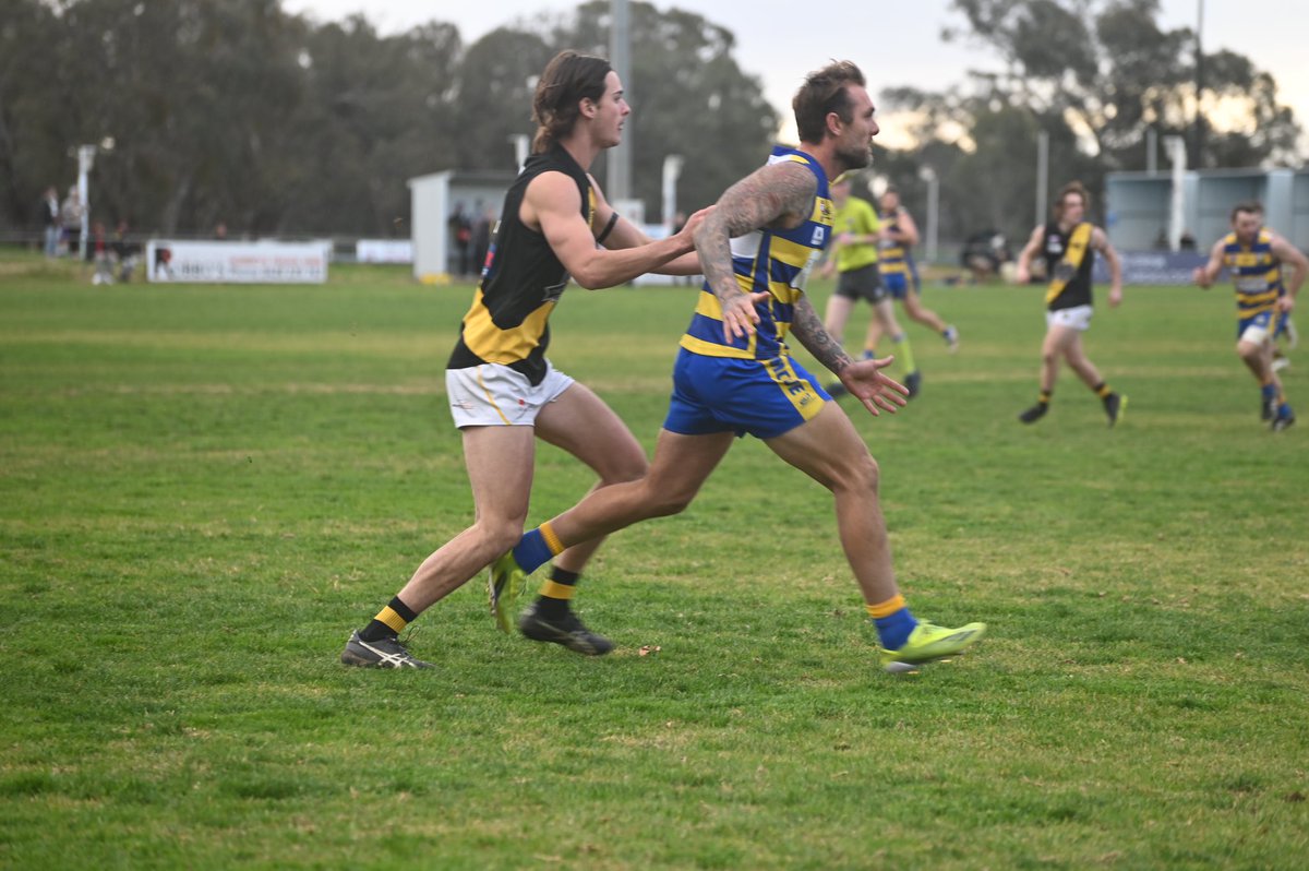 Michael McCormack (@m_mccormackmp) on Twitter photo As a COVID lockdown disrupts the <a href="/aflnswact/">AFL NSW/ACT</a> competitions, one thing is certain – <a href="/MCUE_Goannas/">MCUE Goannas</a>’ Trent Castles will win the <a href="/AFLRiverina/">AFL Riverina</a> goalkicking. He has 71, 29 clear of <a href="/CoolamonRovers/">Coolamon Rovers</a>’ Joe Redfern & will be the first Goannas’ player for 32 years to win the league goalkicking. As a COVID lockdown disrupts the <a href="/aflnswact/">AFL NSW/ACT</a> competitions, one thing is certain – <a href="/MCUE_Goannas/">MCUE Goannas</a>’ Trent Castles will win the <a href="/AFLRiverina/">AFL Riverina</a> goalkicking. He has 71, 29 clear of <a href="/CoolamonRovers/">Coolamon Rovers</a>’ Joe Redfern & will be the first Goannas’ player for 32 years to win the league goalkicking.