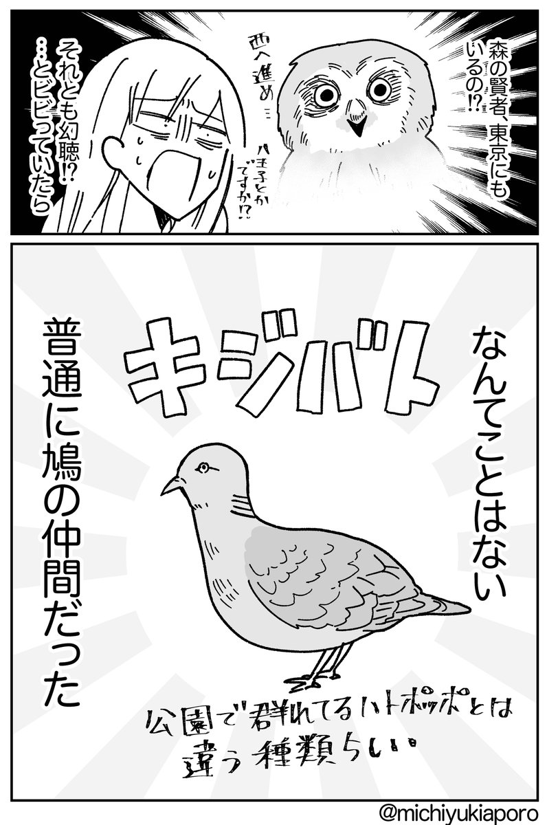 明け方にホーホーッホッホーと鳴くなぞの鳥の声の正体。

この話すると、聞いたことないって人も結構いるから家が建ってる場所によるのかしら。 