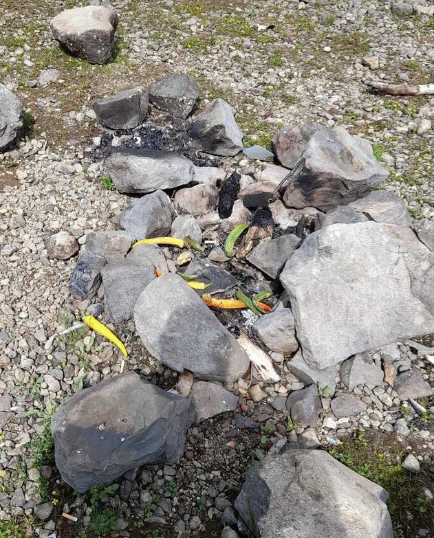 The Lakes Plastic Collective 💙⛰ tweet media