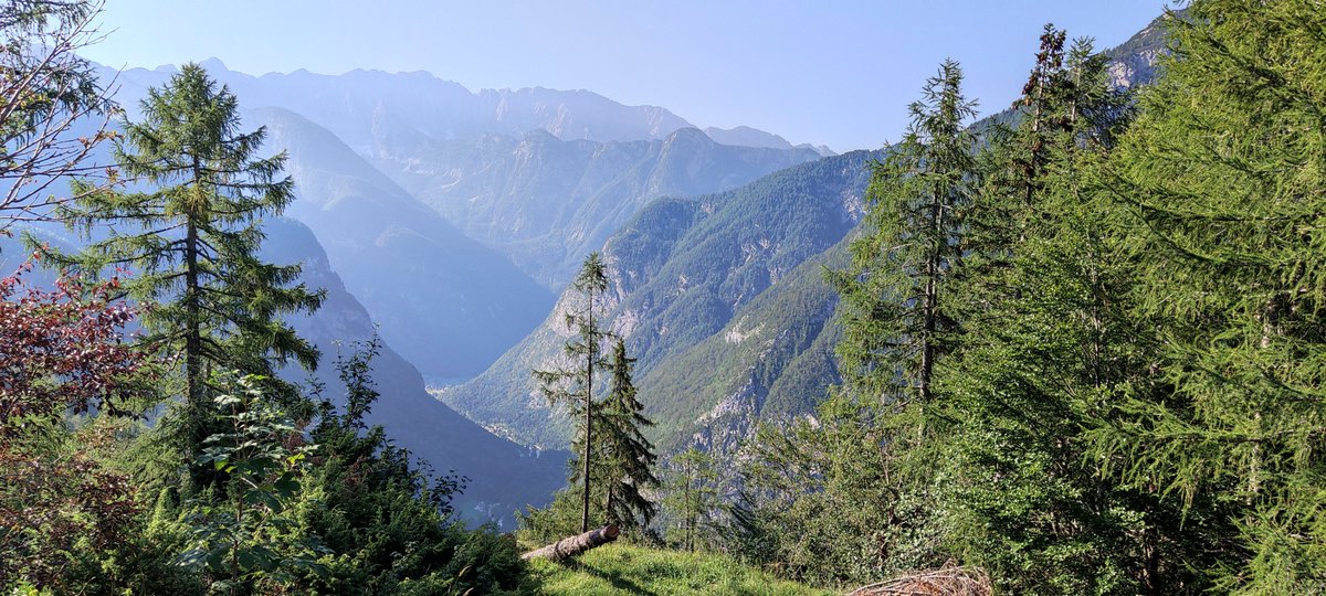 Pakiranje in selitev lahko tud kak dan počakata.