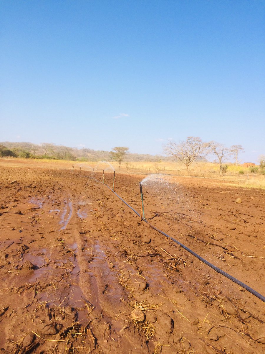 I’m a dreamer and a doer again