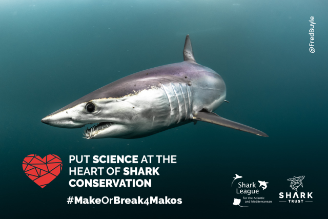 3 of 3 #ActionforAnimals Keen to do more for #sharks? Add your voice, #MakeTime4Makos! Arguably the most pressing shark cons crises. Science is clear, action needed is simple: prohibit retention of N.Atl mako. Visit Sharkleague.org/rally4makos to get involved! #SharkLeague #ICCAT