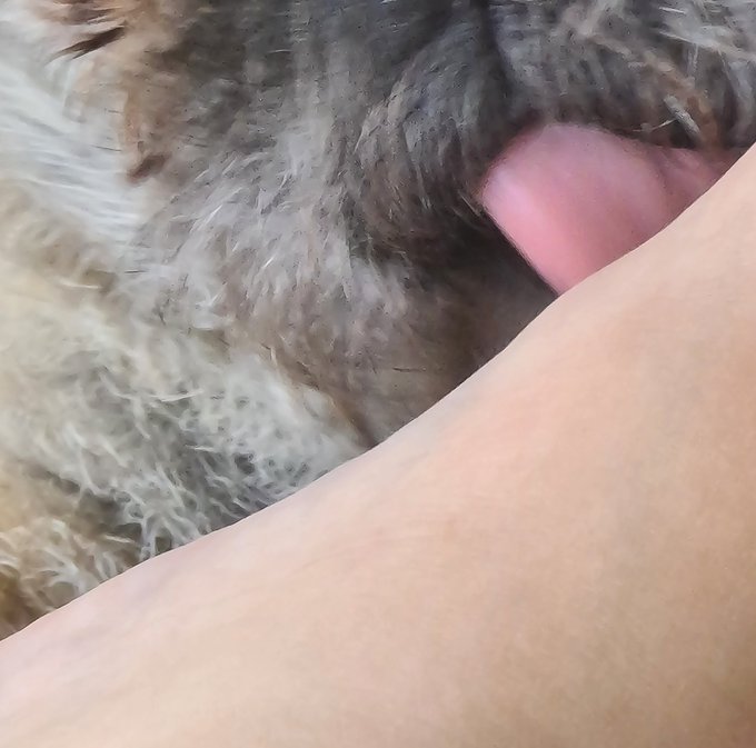 Lick my foot better than my dog slut  #FinDom #findomgoddess #Feet #feetworshi̇p #feetfetish #cashapp<a href="/tag/findom"class="tags">#FinDom</a><a href="/tag/femdom"class="tags"><span>#femdom</span></a><a href="/tag/feet"class="tags"><span>#feet</span></a><a href="/tag/bbw"class="tags"><span>#bbw</span></a><a href="/tag/feetfetish"class="tags"><span>#feetfetish</span></a><a href="/tag/paypig"class="tags"><span>#paypig</span></a><a href="/tag/feetworship"class="tags"><span>#feetworship</span></a>