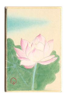 日本の誕生花 Tanjyouka Twitter