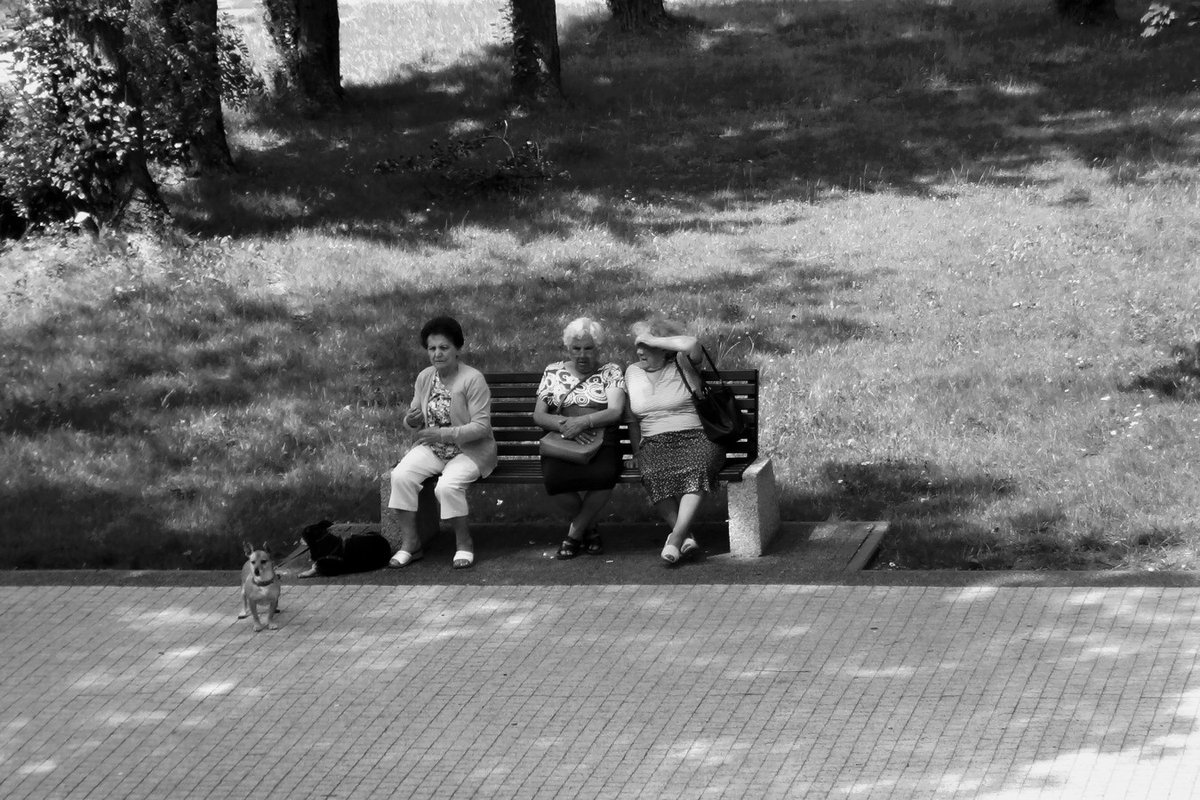 NotoJako's tweet photo. #Łódź #blackandwhitephotography #streetlife #cityscape #streetphotography https://t.co/nh0l9xjjKt