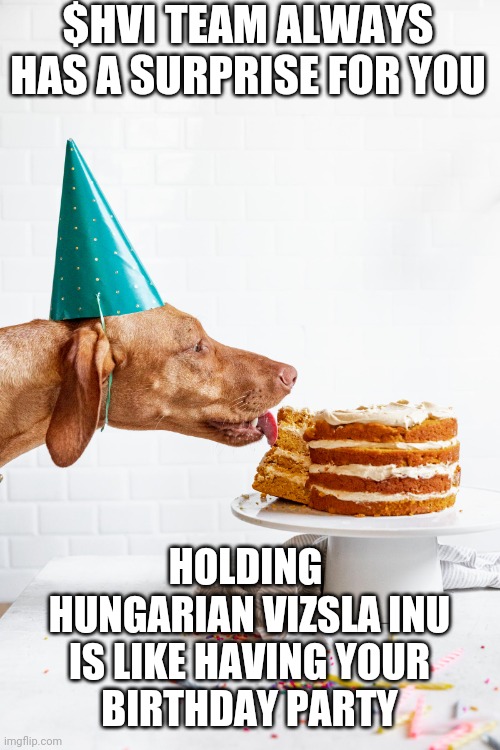 neckermanntoken's tweet photo. $HVI comes to https://t.co/O1P7lUSuDY!
#HungarianVizslaInu #HVI @XTexchange #VizslaToSirius #cryptocurrency #blockchain #investment #money  #passiveincome #reflection  #charity #CharityToken https://t.co/641PpJjni5 https://t.co/MhQiHnQkEV