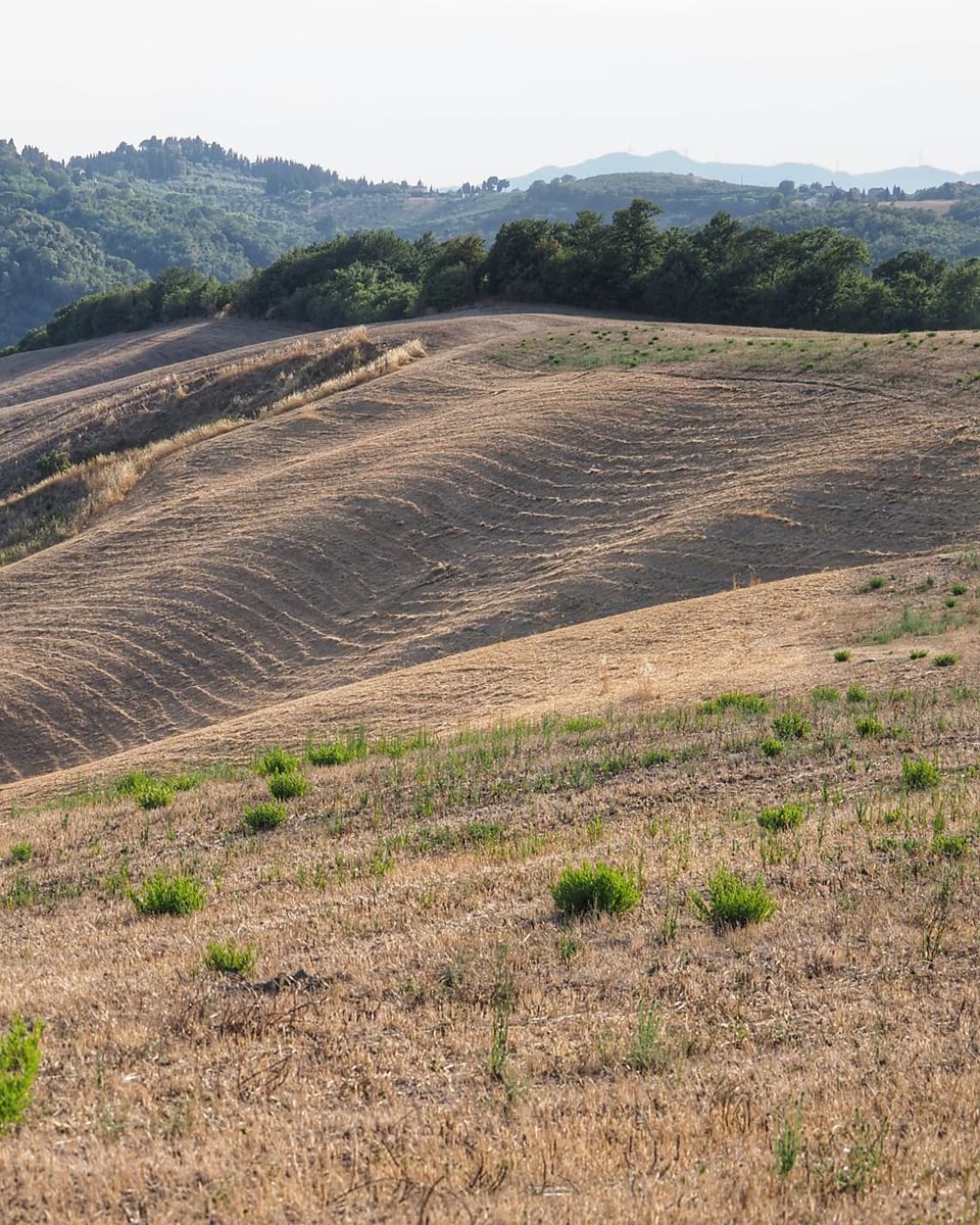 This is #Toscana 
12.08.2021
•
#hotday #sunset #dryearth #villamontaperti #duftdertoskana #field #nature #naturephotography #agriturismo #quit #relax #gr8view #gr8food #Montaperti #Toscana #tuscany #toskana #ITA #Italy #holiday