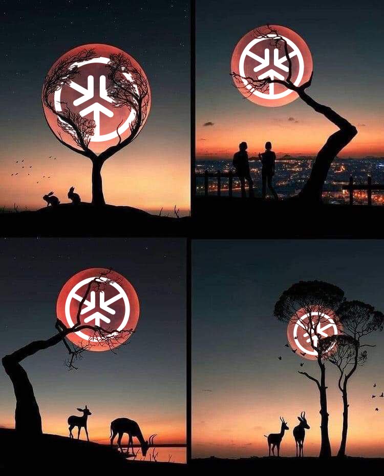 AntiDanilevski's tweet photo. After #staking of $KICK became active, selling pressure decreased A LOT. Daily redistributions are often moving $KICK from the weak hands to the holders. It means that accumulation intensity is increasing daily. It's a true #crypto magic, swap to v8 was truly a game changer. https://t.co/Bik4dUEXUx