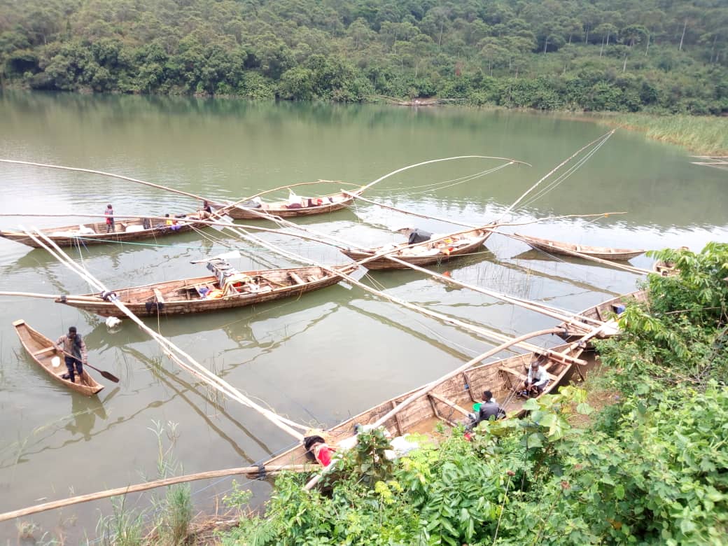 NATIONAL REHABILITATION SERVICE on Twitter: