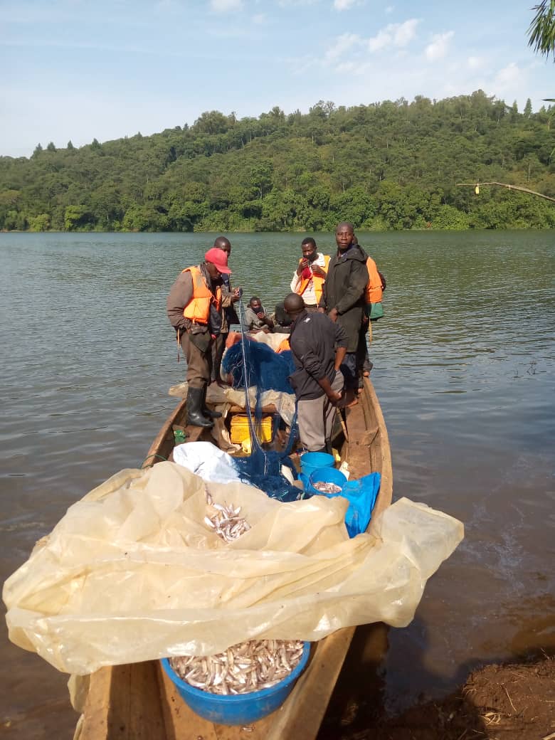 NATIONAL REHABILITATION SERVICE on Twitter: