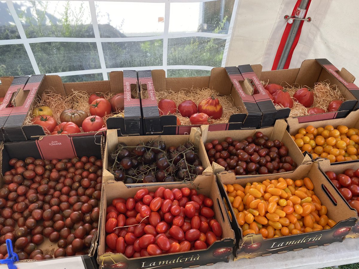 Soappbox's tweet photo. #sundayvibes #sundayrelaxing 🫐🧄🍒🥒 🍅 🥰 https://t.co/uEe2W5BfzS