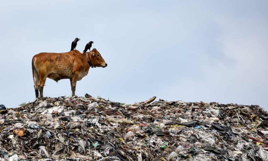 Eliminating plastic pollution, reducing pesticide use by two-thirds and eliminating $500bn of harmful environmental government subsidies a year are among the targets in a new draft of a Paris-style UN agreement. buff.ly/36wuJxq
#climateneutral #climate #ClimateCrisis