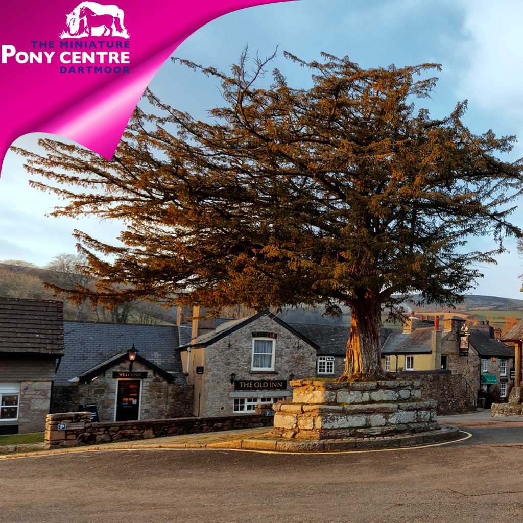 MiniPonyDevon's tweet photo. Looking for a nice Sunday dinner for you and the family?
Why not try one of our local pubs.
Check out the link to find out where, when and howwwww delicious dinner can be today!
https://t.co/fmvxcNfo2Y
#devonpubs #lovedartmoor https://t.co/yke1x48S2h