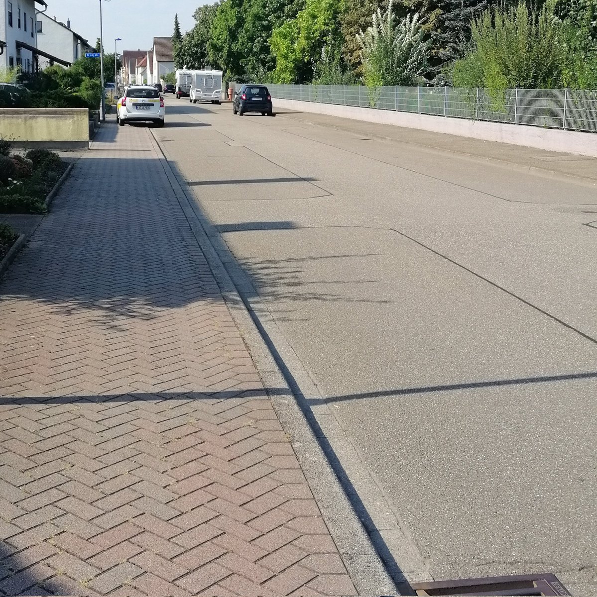 Baerry Be tweet media