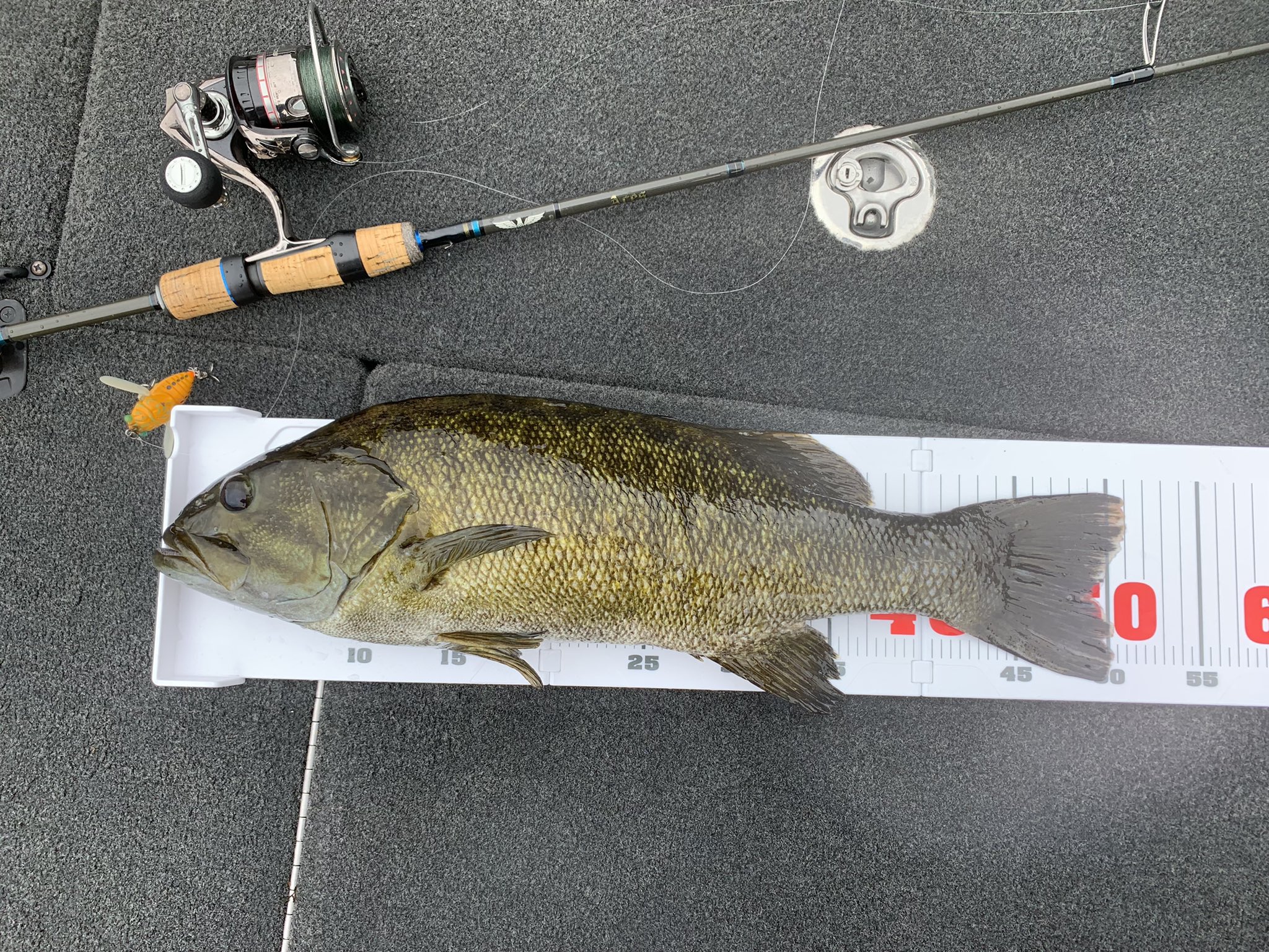 ティムコ フェンウィック エイシス ACES70SLP+J ロッド スピニング