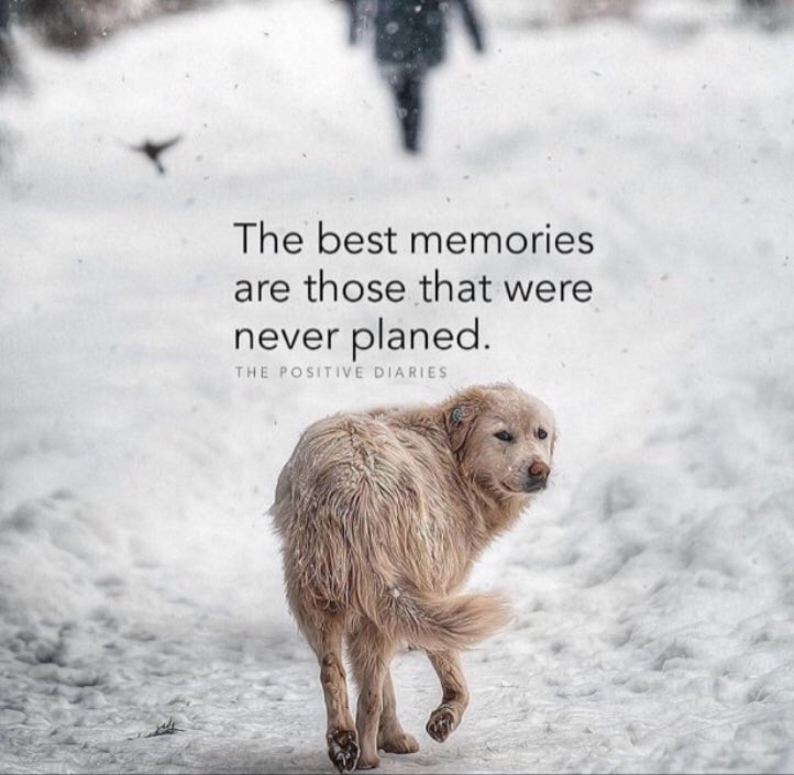 TimingImage's tweet image. 