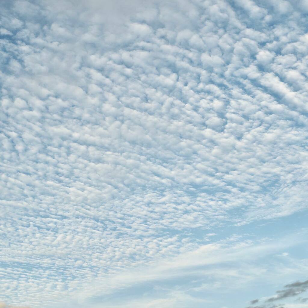 あれあれ、いつの間にかいわし雲、秋の雲。#いわし雲 #秋の雲 #leica #leicaphotography #leicam10psafari #voigtlander35mmf14 instagr.am/p/CSlvHrKLcYh/