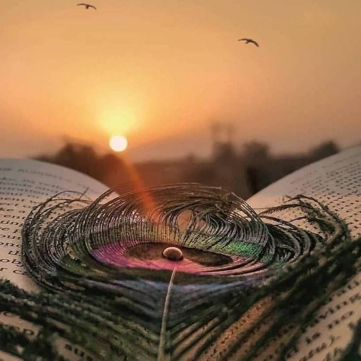 ❣☞

لايقاس حب الأشخاص بكثرة رؤيتهم
فهناك أشخاص يستوطنون القلب 
رغم فقر اللقاء ..!!

مـــــــســـــاء  الخـــــــيـــــــر ..♥️🥀