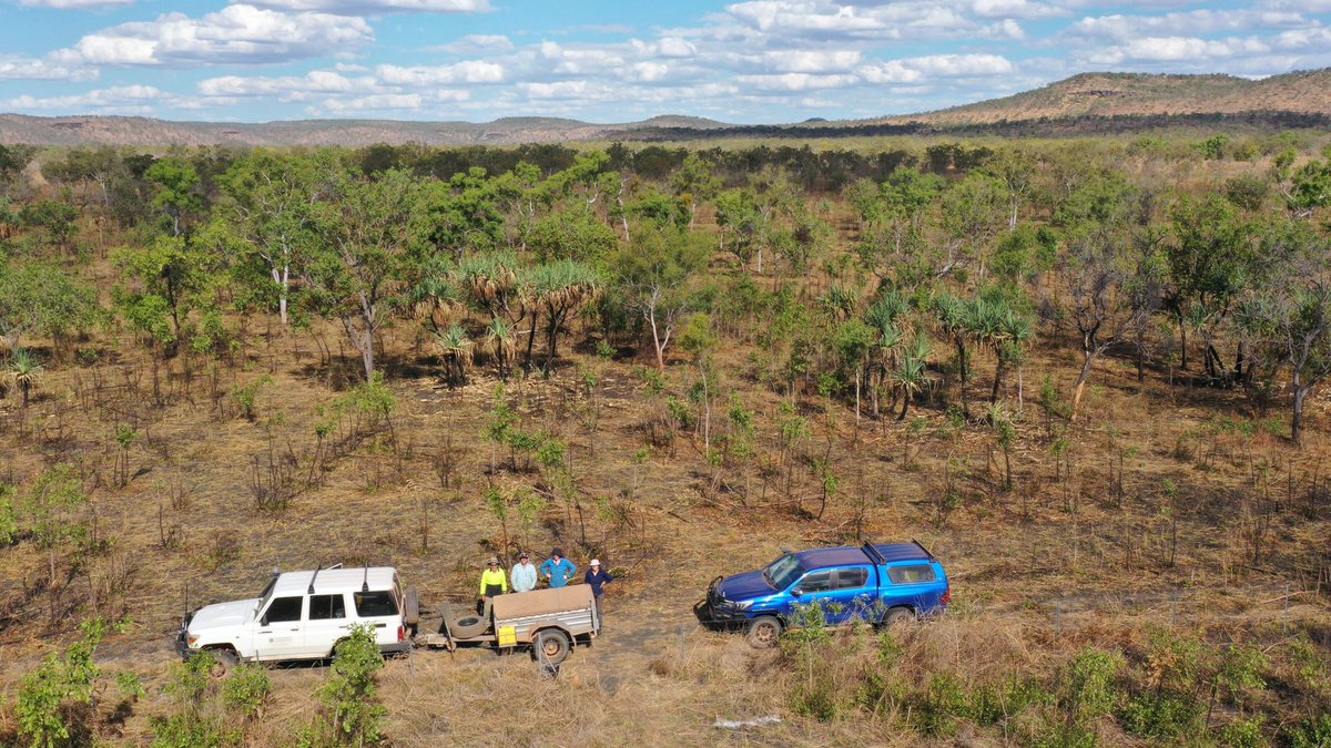 Dr Rachel Rudd (@rachelrudd_) | Twitter