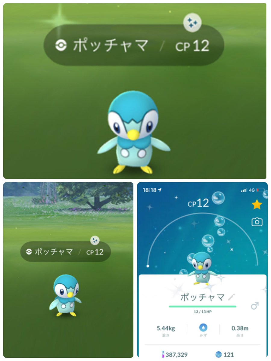 ポッチャマサンダース Mimimqyys Twitter