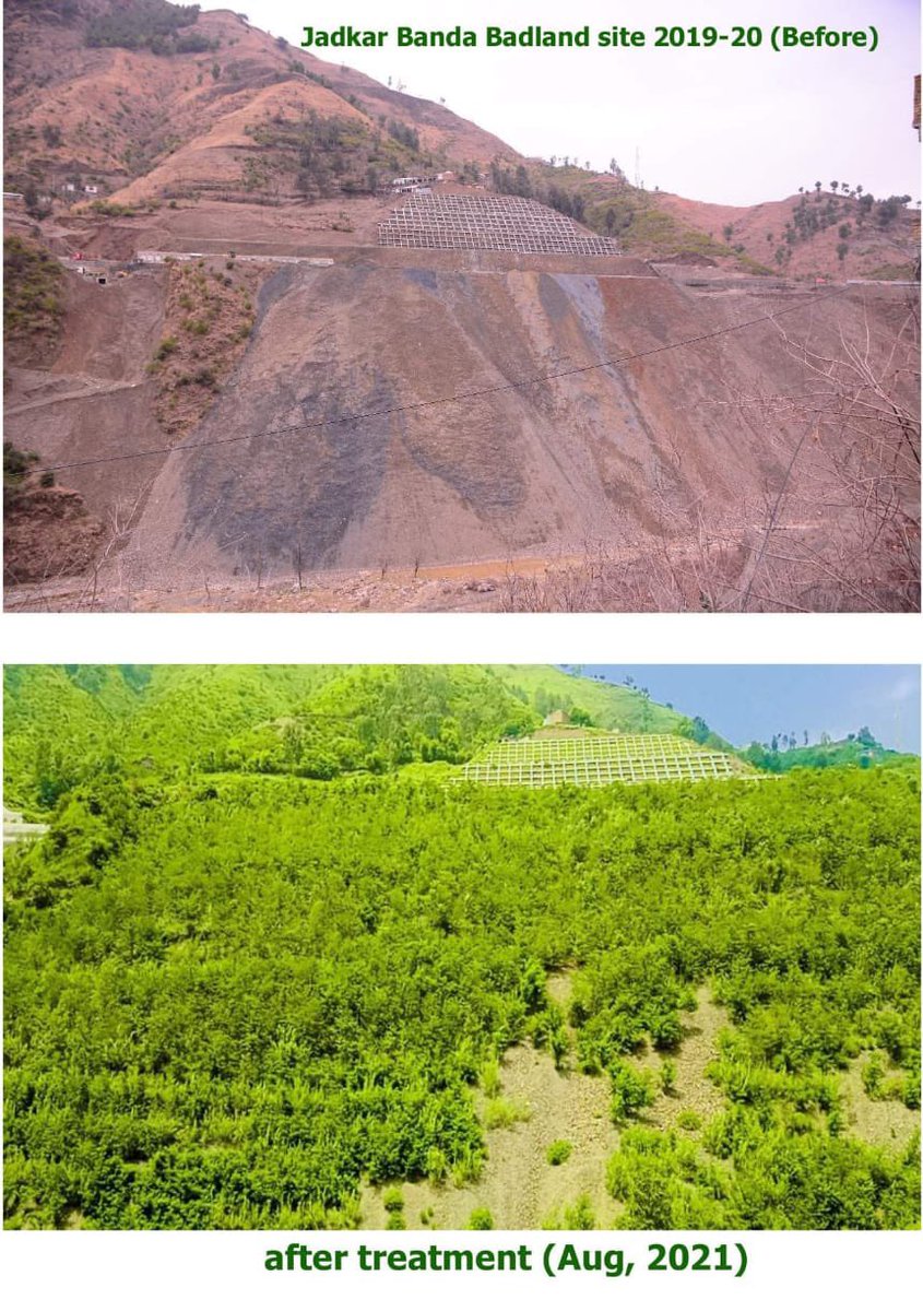 Treatment of Bad Land Stabilization under #10BillionTreeTsunami. Turning #brown into #Green. The Species planted are Robinia, willow & poplar. This is PM’s @ImranKhanPTI #NayaPakistan. #Plant4Pakistan21