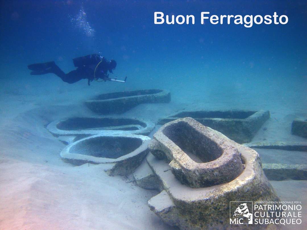 Barbara Davidde (@barbaradavidde) on Twitter photo 