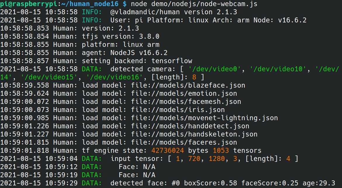 utopiah's tweet photo. git clone https://t.co/9MxrQPDSwZ &amp;&amp; cd human
npm i
node demo/nodejs/node-webcam.js

That's how quickly you can do face detection and more on the @Raspberry_Pi thanks to @vmandic00's Human library and its #TensorFlowJS  @NodeJS modules.

(~2cores still idling on an "old" RPi3) https://t.co/0qPEQ1AsdY