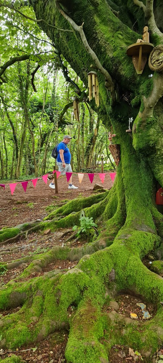 Sid Mitchell tweet media