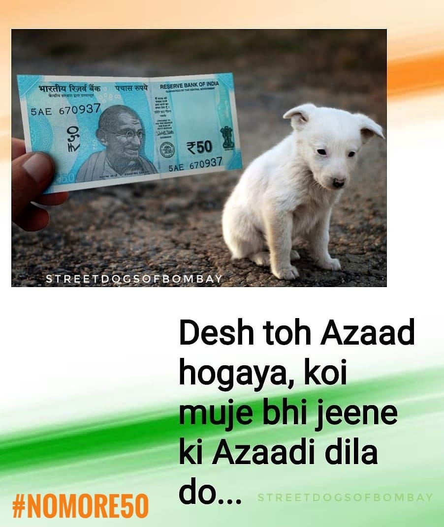 streetdogsof's tweet photo. @narendramodi जानवरों सहित सभी को स्वतंत्रता का अधिकार है। श्री @narendramodi जी पिछले ६० वर्षों में, पशु क्रूरता कानूनों में कोई बदलाव नहीं किया गया है। हम आपसे भारत में पशु क्रूरता के खिलाफ सख्त कानून बनाने का निवेदन करते हैं। #IndiaIndependenceday #NoMore50 @PRupala @KirenRijiju #IndianArmy https://t.co/1Mxwt8Ogyf