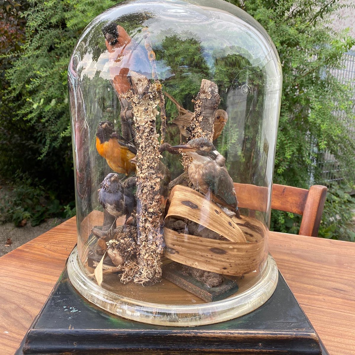 TourismeStLouis's tweet photo. Petit tout à la #brocante de #saintlouis ce matin. #sudalsace #alsace #tourismestlouis @saint_louis_fr #chiner #brocantes #vintage https://t.co/4hg8Jq65Ws