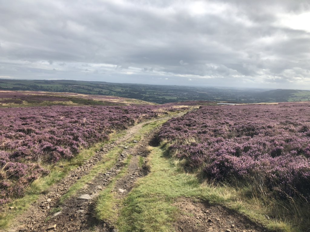 Hannah Love tweet media