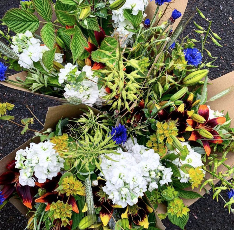 🌻🌺S O W - G R A T E F U L 🌷🌹

Our next blog interview is with Sow Grateful - a micro intensive flower farm based on the outskirts of East Belfast.  

We caught up with Aisling McCormick from Sow Grateful &amp; you can check out the interview below:

sourcegrow.co.uk/blog/sowgratef…